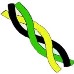 3 Day Blended Green Belt
