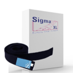 1. Black Belt Training - SigmaXL-based