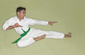 Green Belt Training